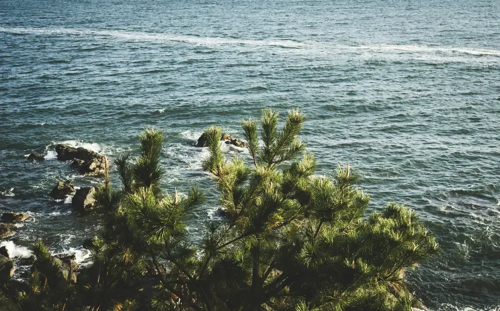 首爾冬季旅遊攻略:雪景、美食、購物一次滿足